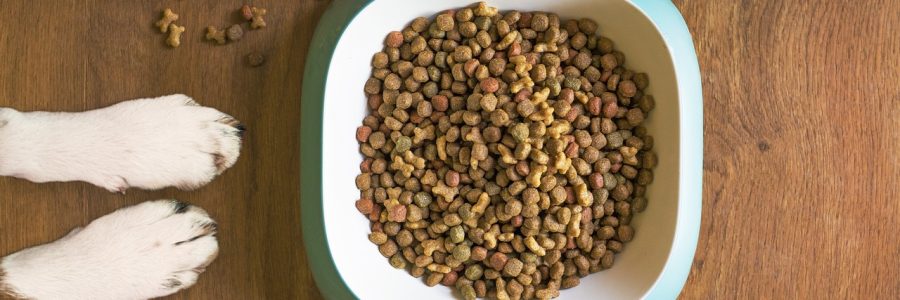 pasja hrana, briketi, hrana za psa